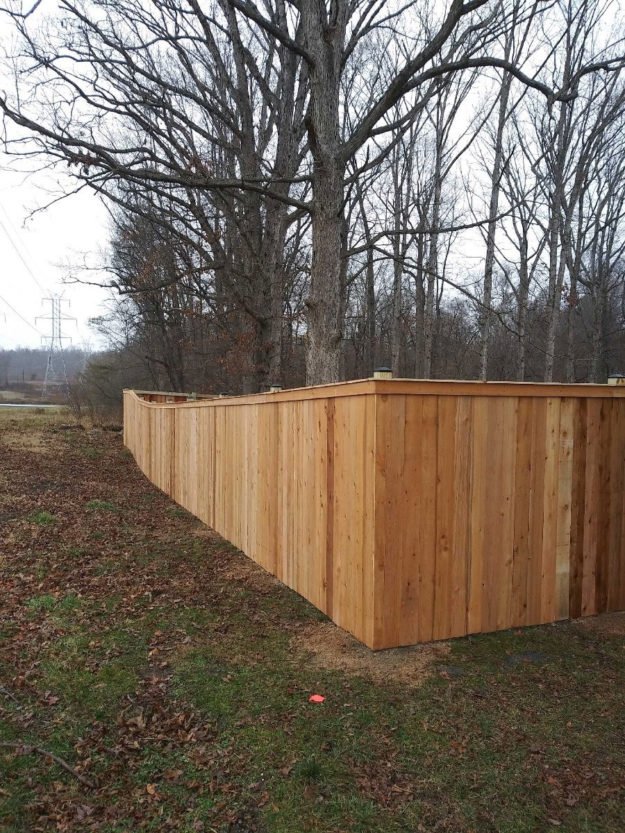 cedar fence