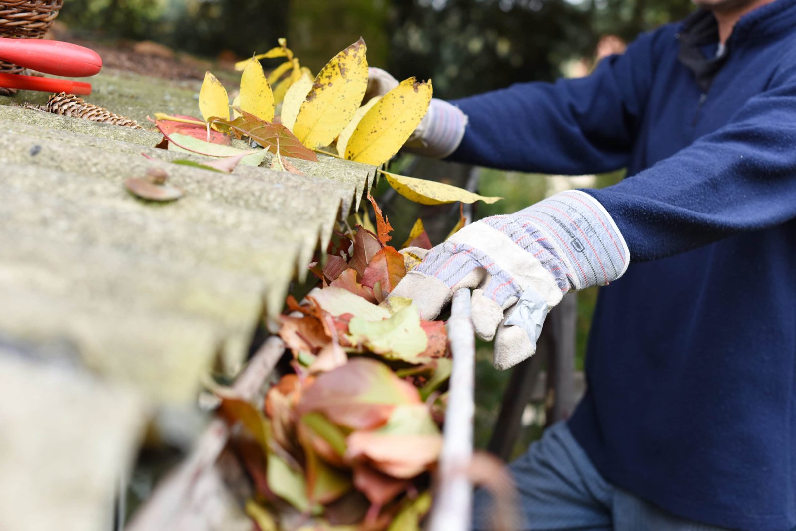 Leaves in eaves. cleaning gutter blocked with autumn leaves. Leaves in eaves. cleaning gutter blocked with autumn leaves.
