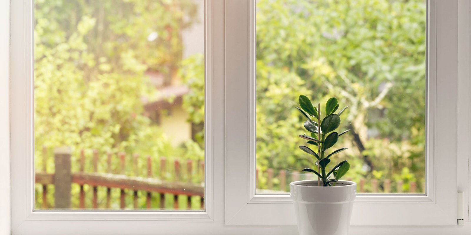 Summer Windows
