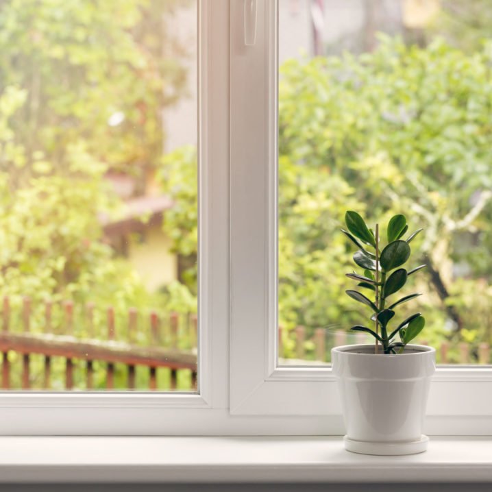 Summer Windows