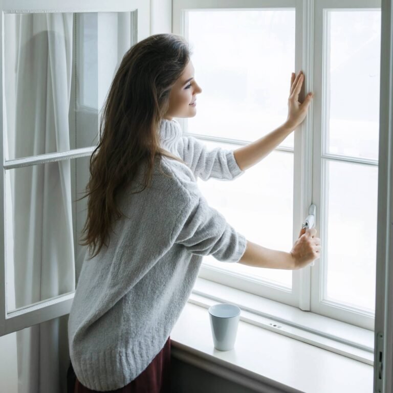 Winter Windows